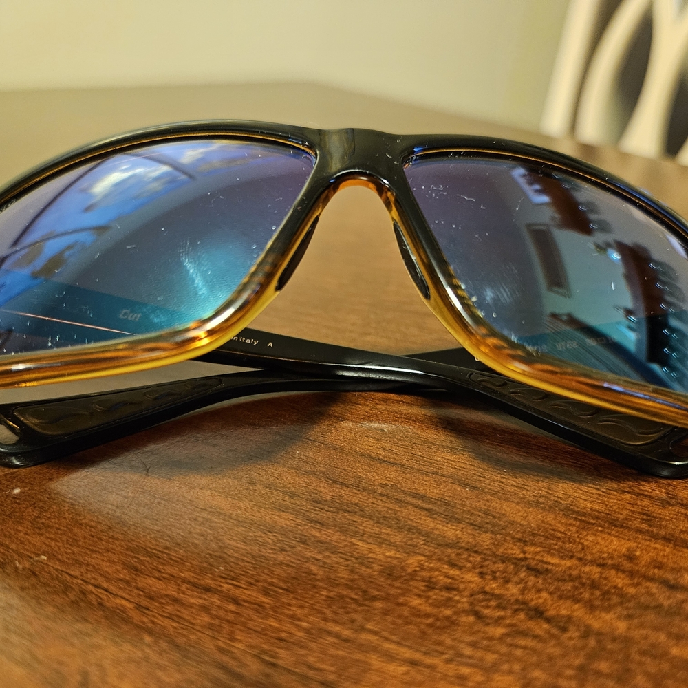 Coasta Brown and Blue Sunglasses